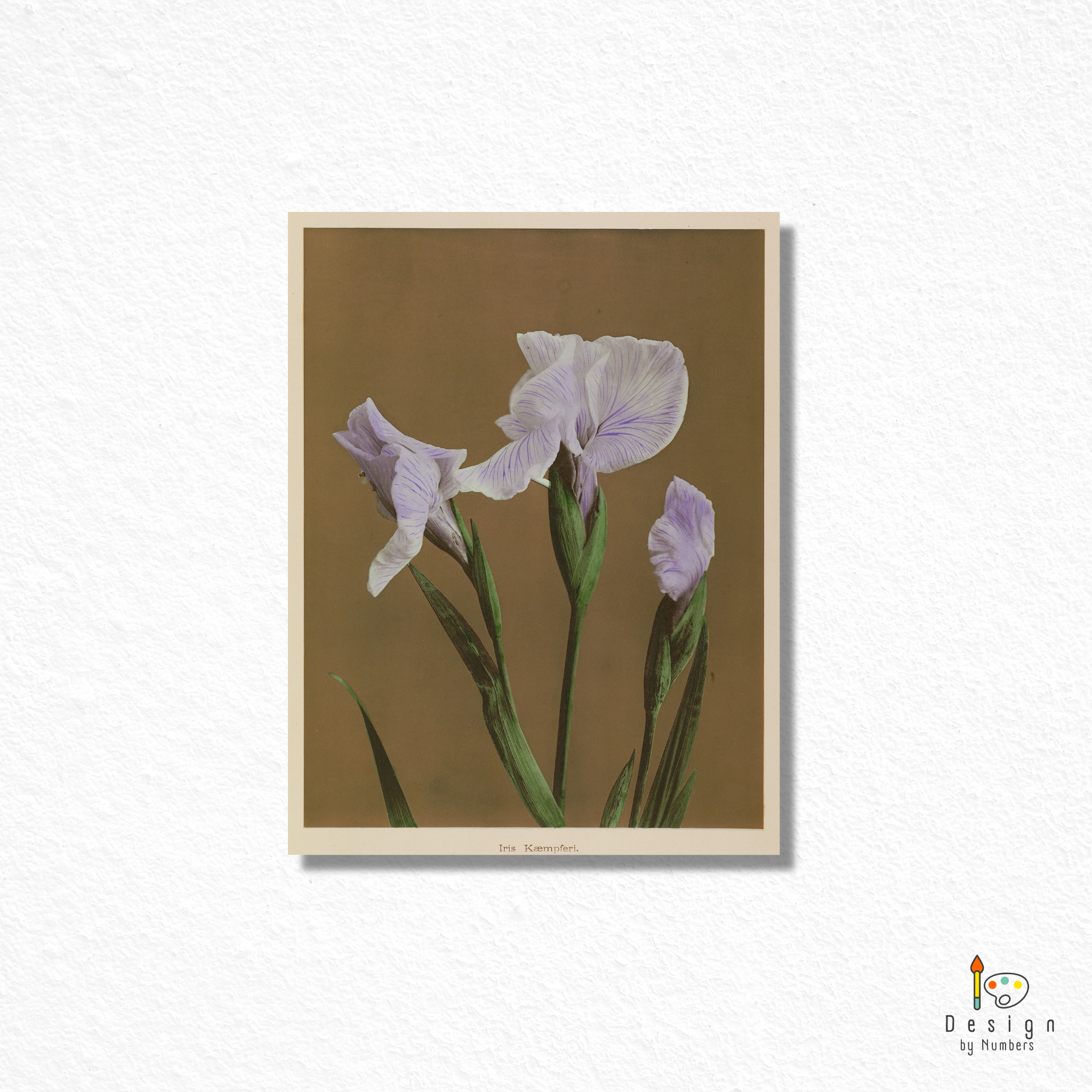 Iris Kaempferi - Kazumasa Ogawa - Paint by Numbers