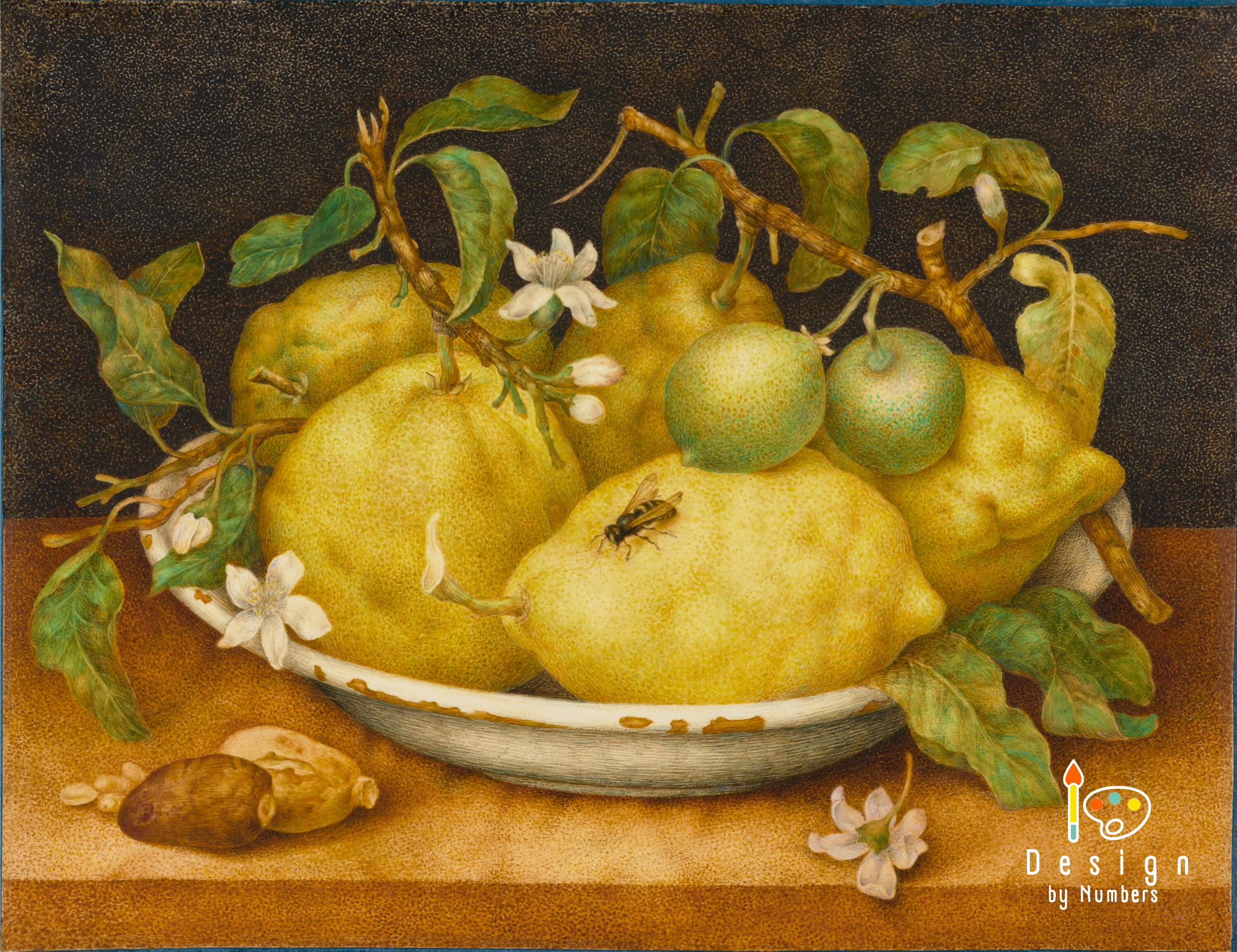 Still Life with Bowl of Citrons- Giovanna Garzoni- Paint by Numbers