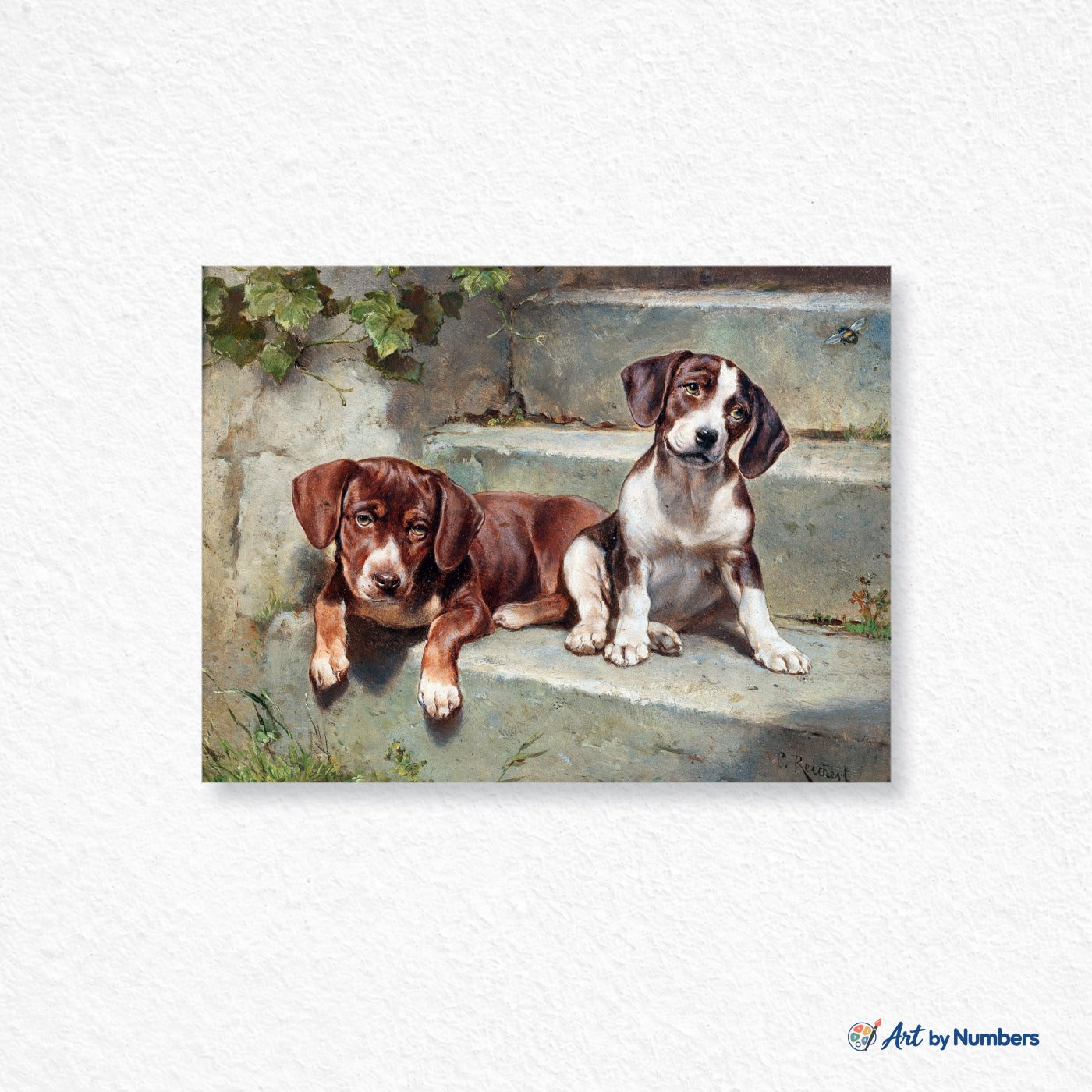 Dogs Puppies - Carl Reichert - Paint by Numbers · image 1