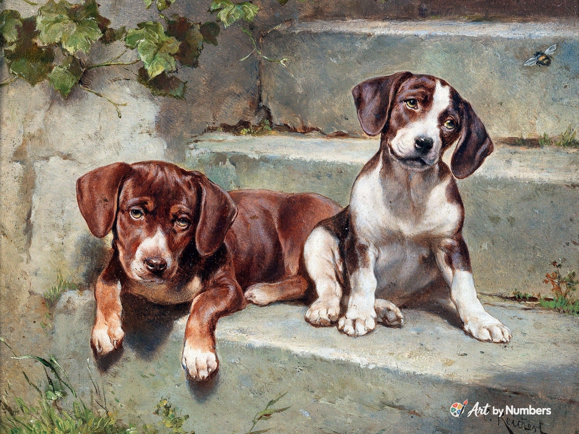 Dogs Puppies - Carl Reichert - Paint by Numbers · image 2